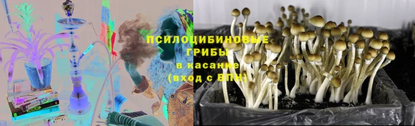 индика Ладушкин