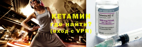 индика Ладушкин