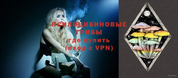 индика Ладушкин