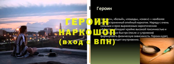 индика Ладушкин
