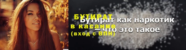 индика Ладушкин