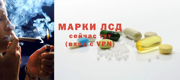 ГАЛЛЮЦИНОГЕННЫЕ ГРИБЫ Краснотурьинск