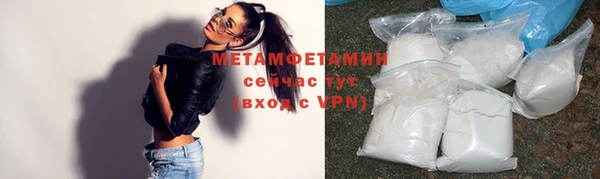 индика Ладушкин