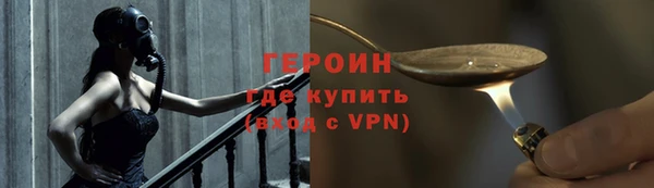 индика Ладушкин