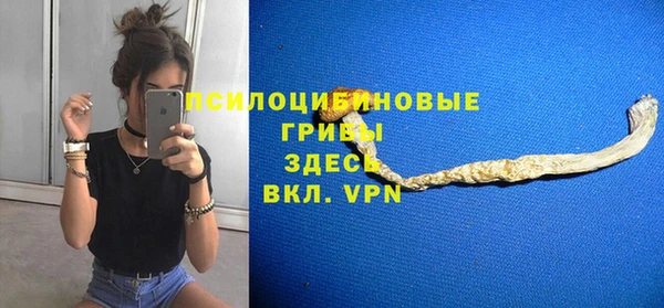 apvp Красноперекопск