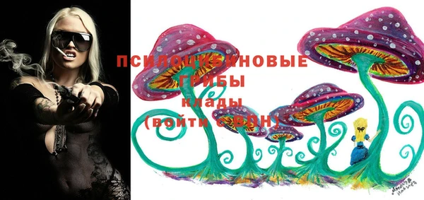 ГАЛЛЮЦИНОГЕННЫЕ ГРИБЫ Краснотурьинск
