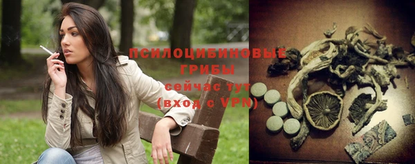 прущая мука Краснослободск